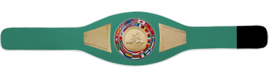 JIU JITSU CHAMPIONSHIP BELT-PROFLAG2/FLAG/G/JJG - VARIETY OF LEATHER COLOURS AVAILABLE JIU JITSU CHAMPIONSHIP BELT-PROFLAG2/FLAG/G/JJG - VARIETY OF LEATHER COLOURS AVAILABLE